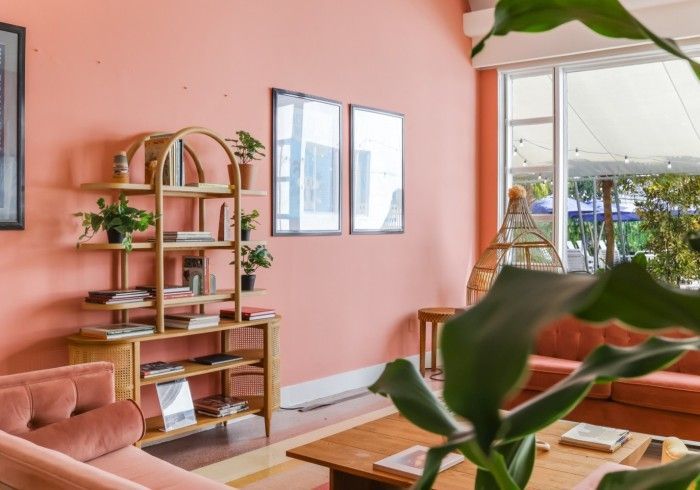 Cozy living room with pink walls, wooden shelves, a sofa, and plants by a bright window.