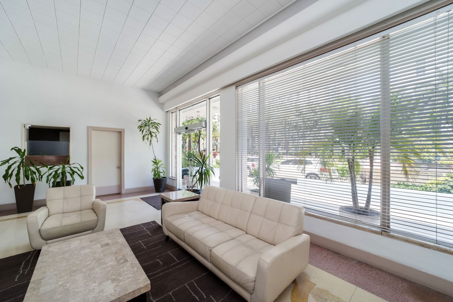 Bright living room with beige sofas, dark rug, plants, and large windows with blinds