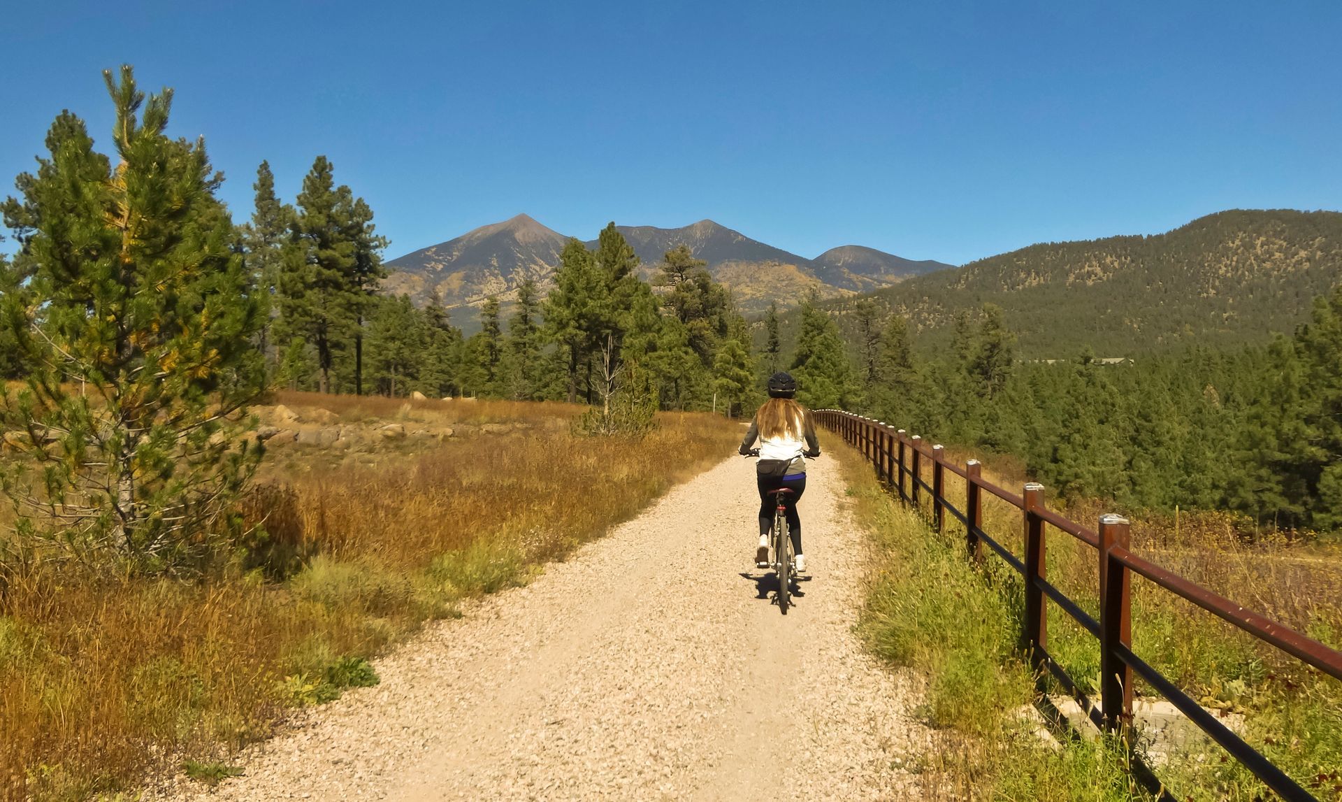 Person biking on a gravel trail through a sunny forested mountain landscape