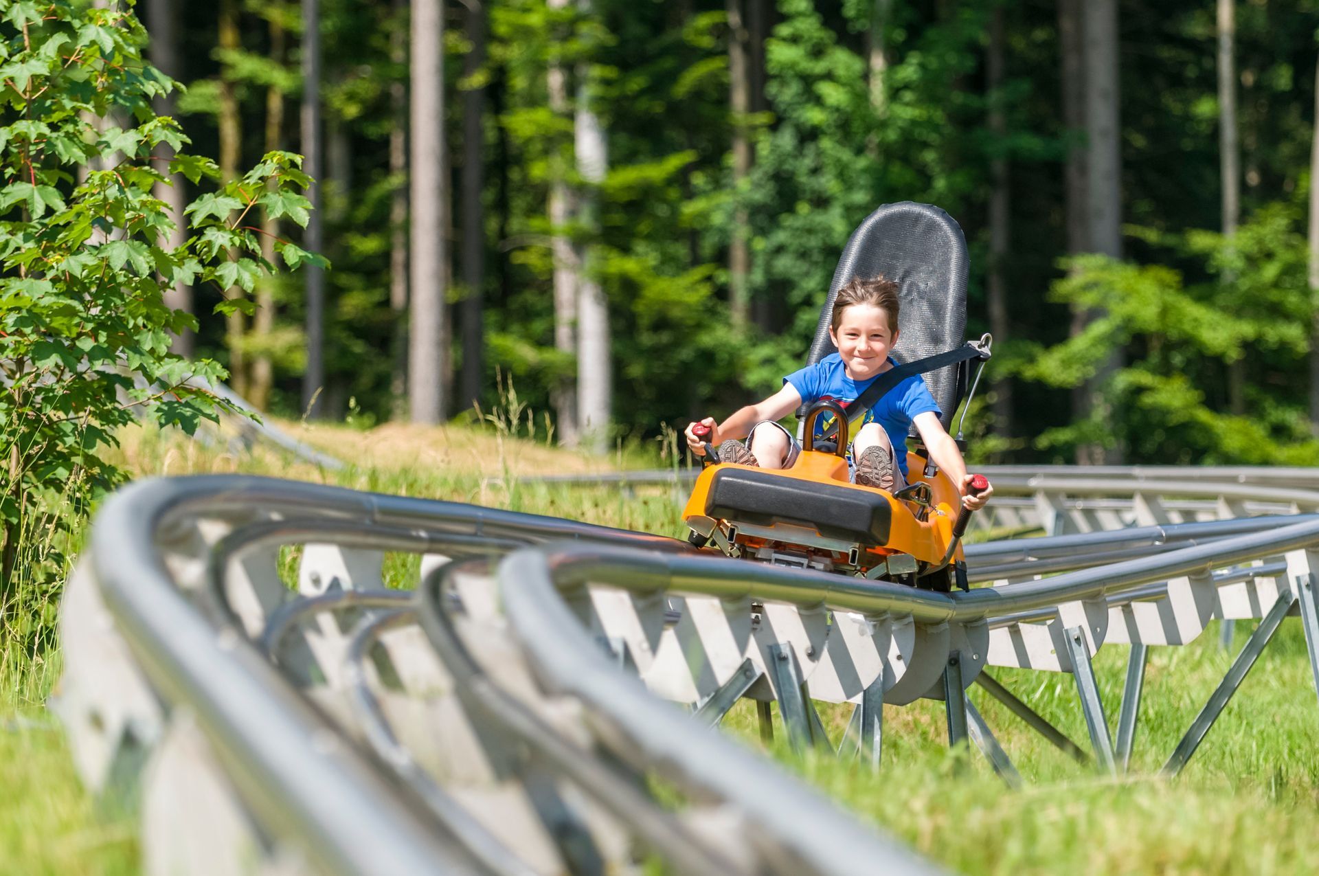 Person riding a mountain coaster through a green forest, leaning into a turn with a smile.