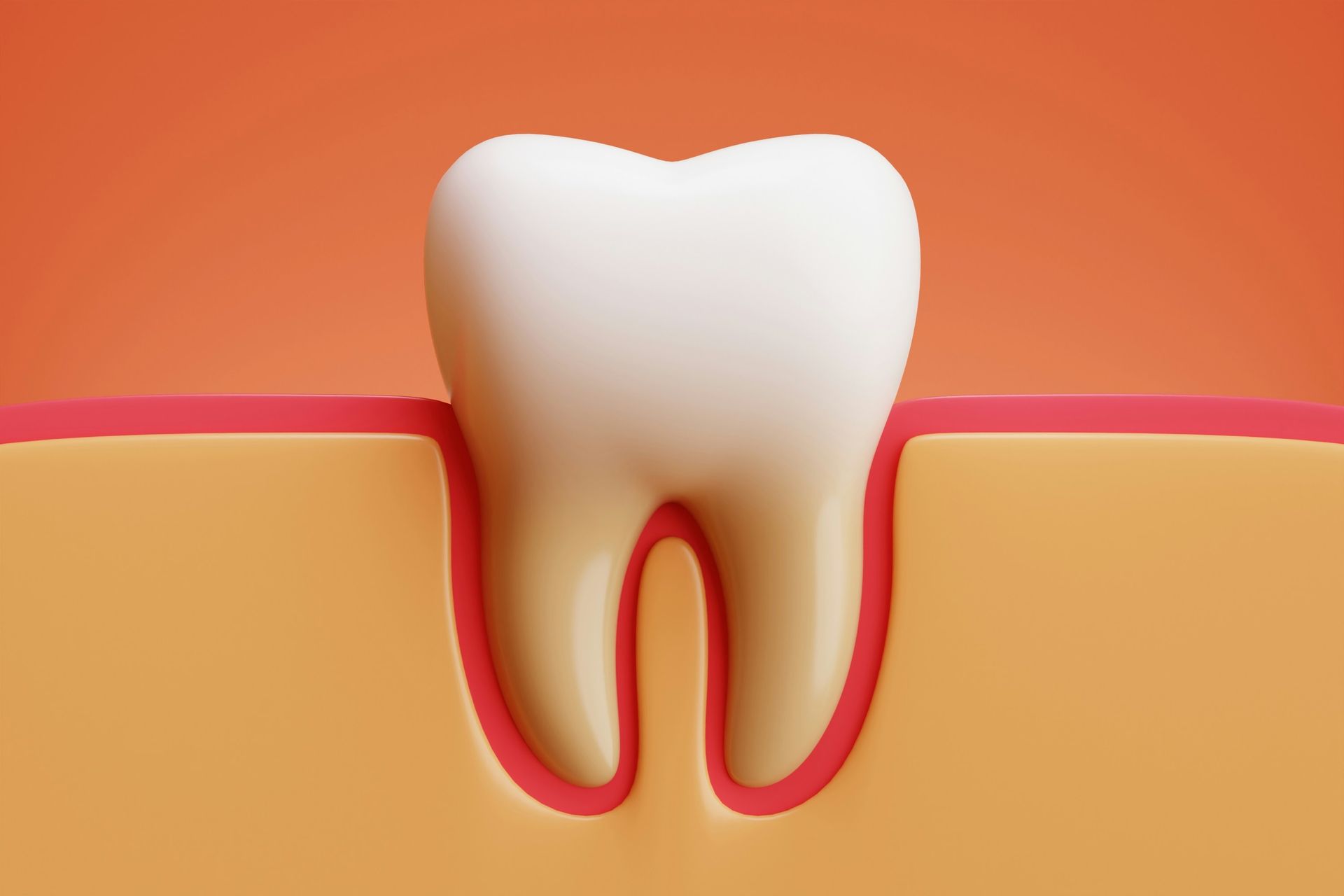 Image of healthy gums and healthy teeth