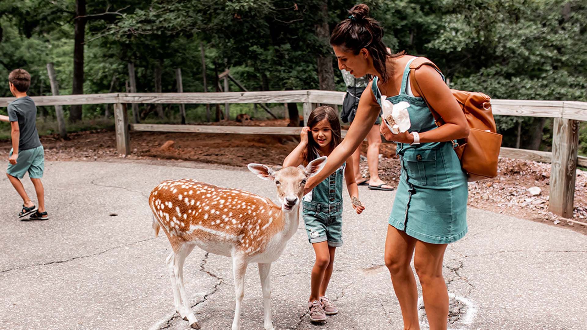 A family petting and feeding a deer at Wisconsin Deer Park in Wisconsin Dells.