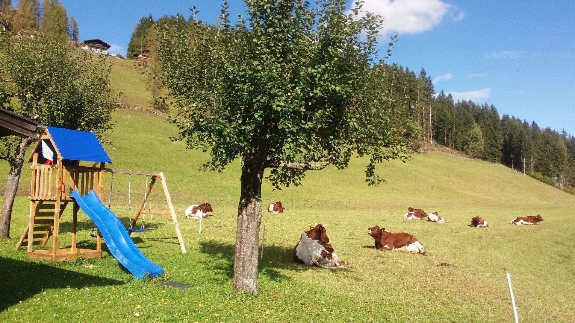 Garten und Almwiese