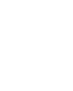 Silhouette Kuh