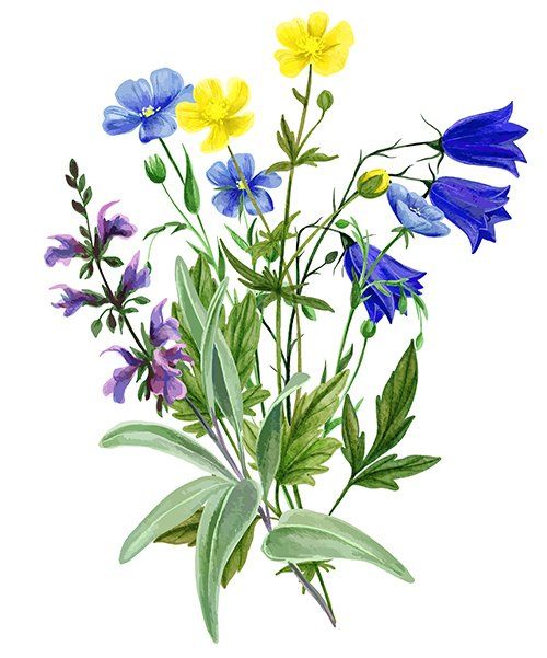 Wildblumenstrauss
