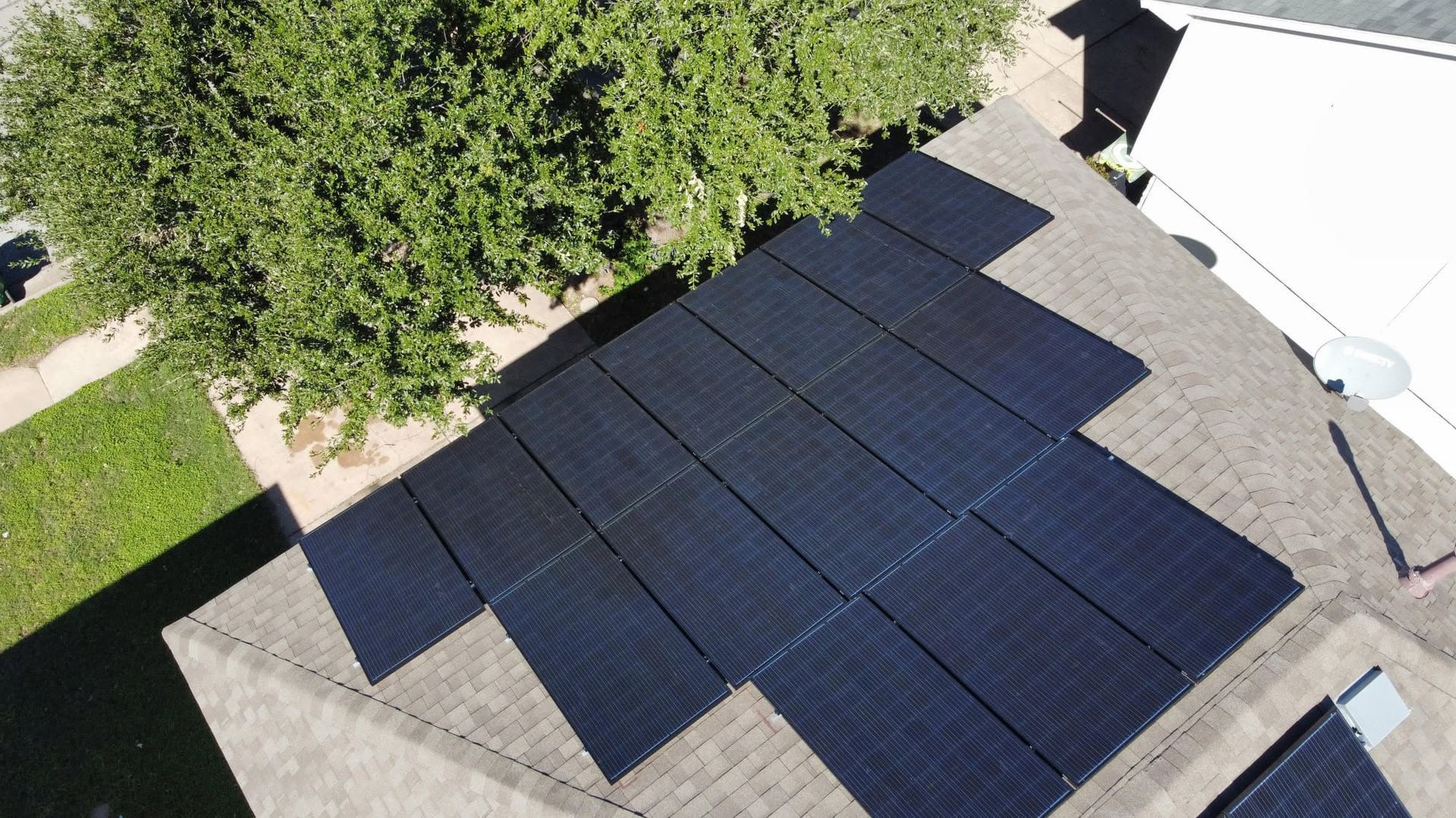 Rooftop solar panels arranged in rows beside a leafy tree and white building wall