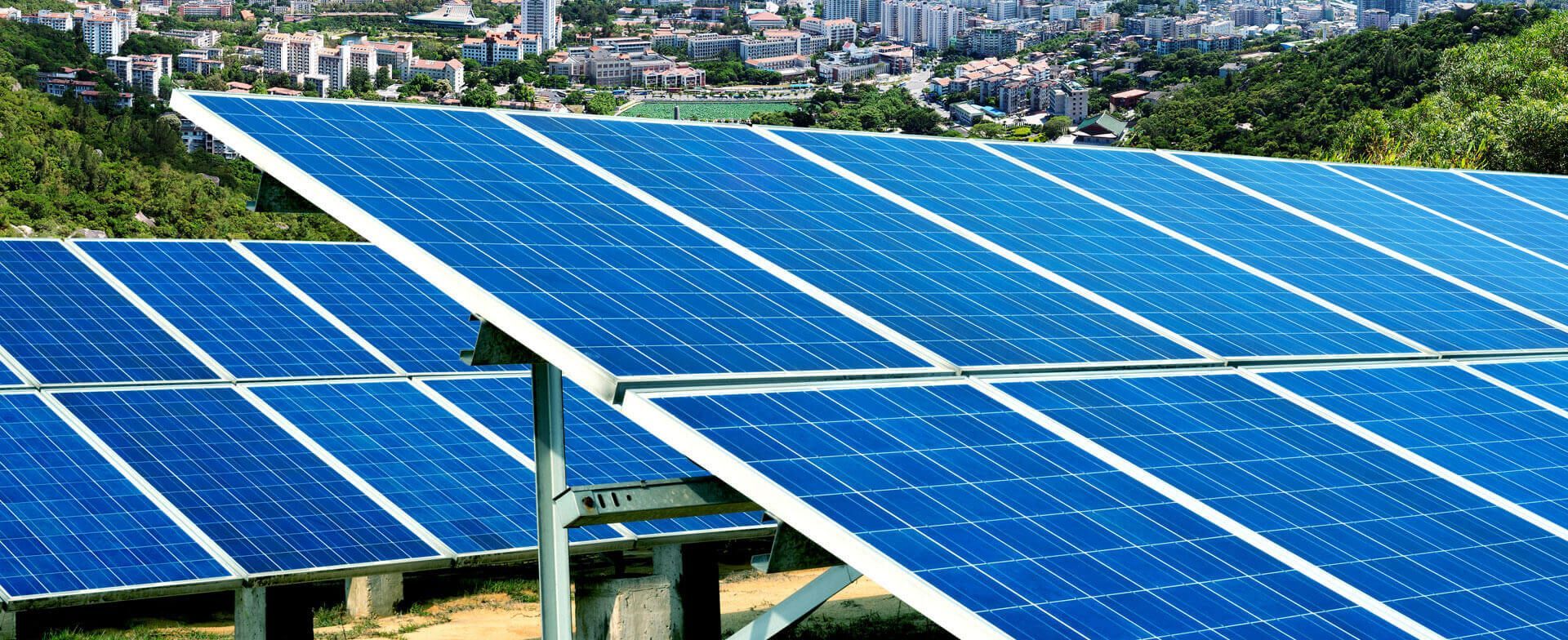 Rows of blue solar panels in a sunny outdoor solar farm with a city skyline in the background