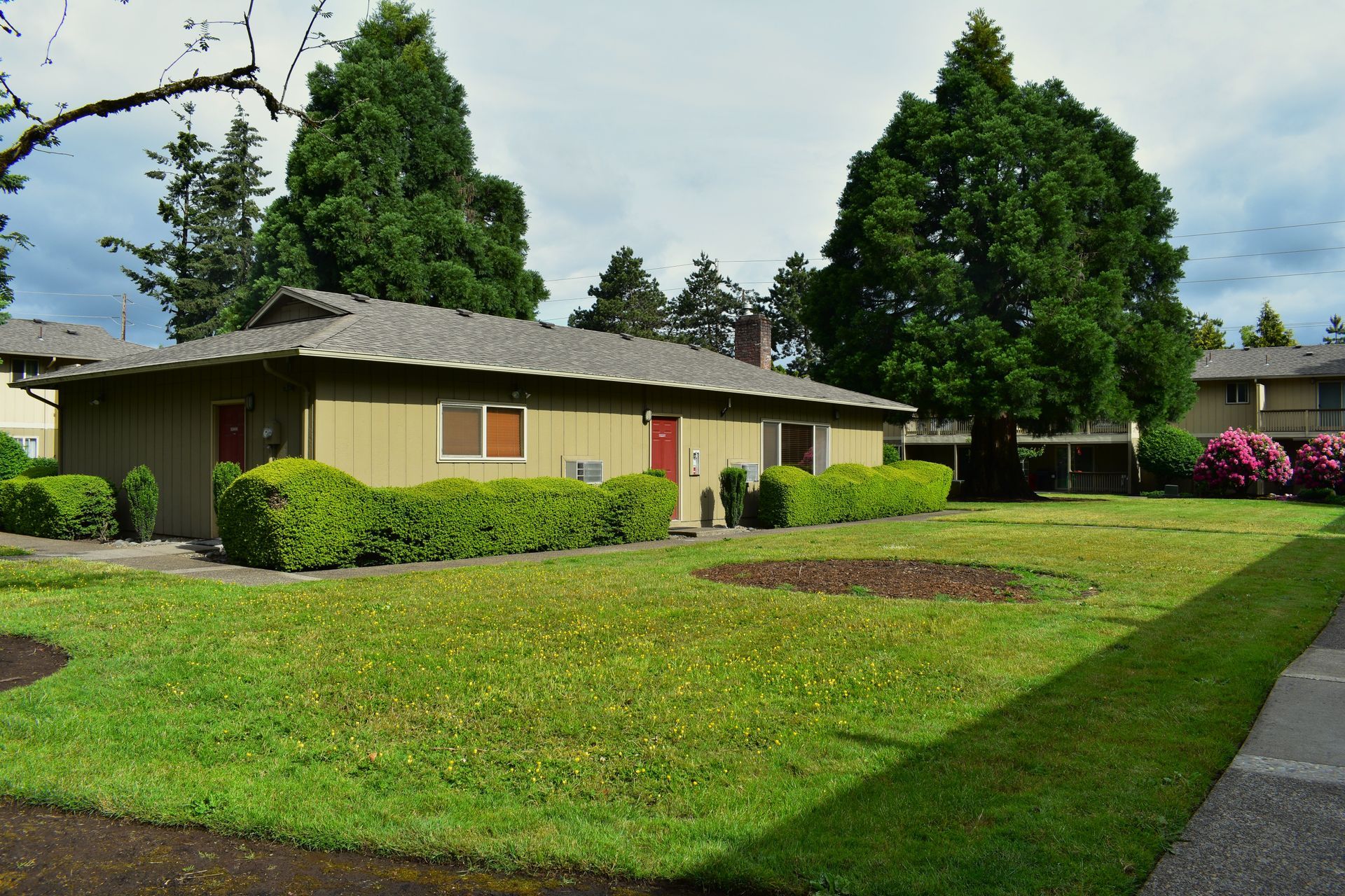 Single-story beige house with a green lawn and tall trees in a suburban neighborhood