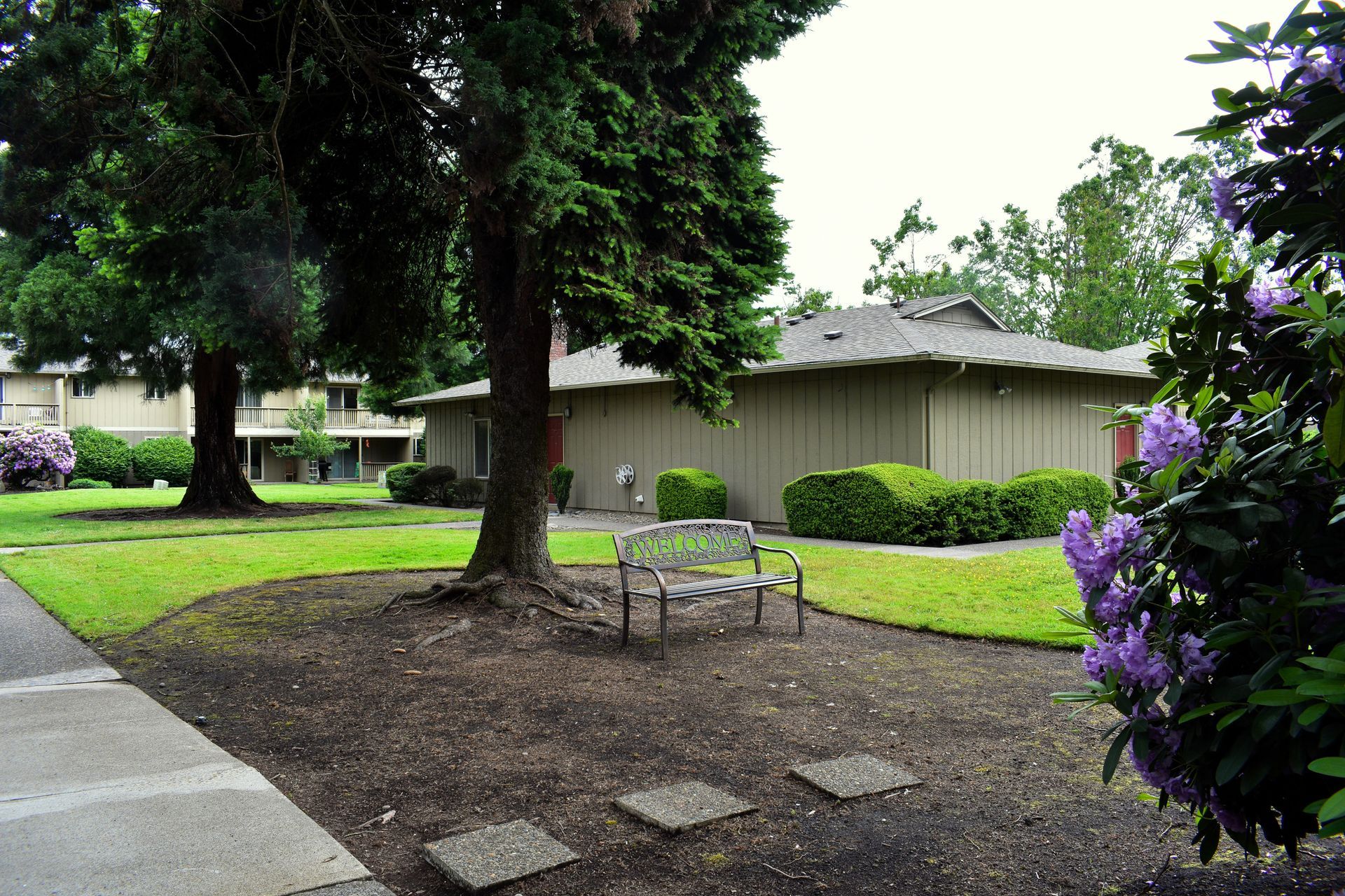 Park bench under a large tree in a quiet courtyard with green grass and flowering bushes