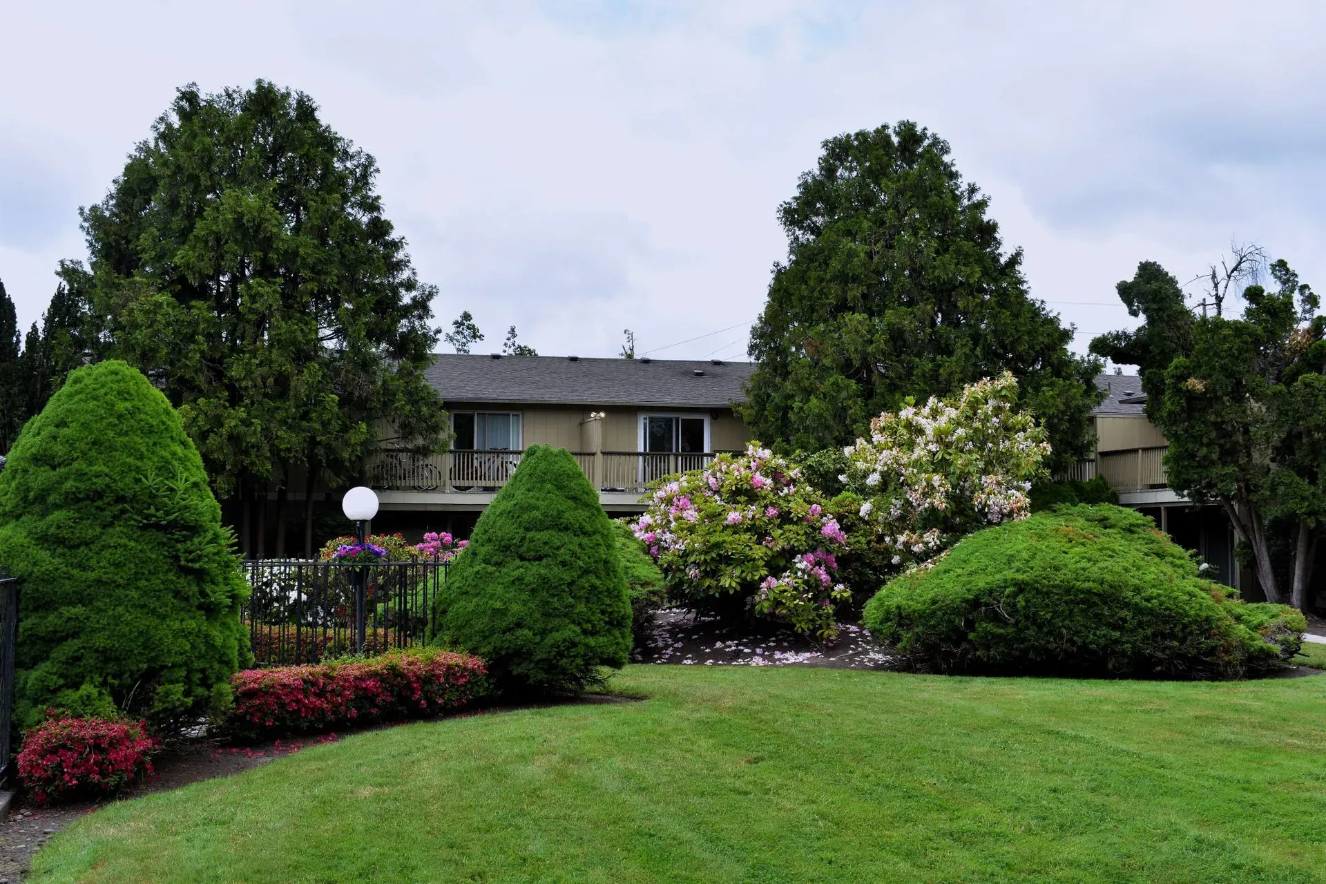 Landscaped garden with manicured shrubs, flowering bushes, and a house in the background