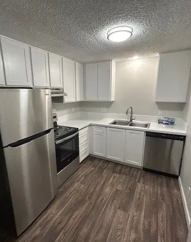 Small modern kitchen with stainless appliances, white cabinets, and wood-look flooring.