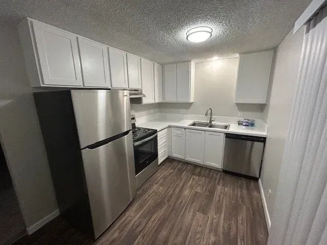 Small kitchen with white cabinets, stainless steel appliances, and dark wood-look flooring