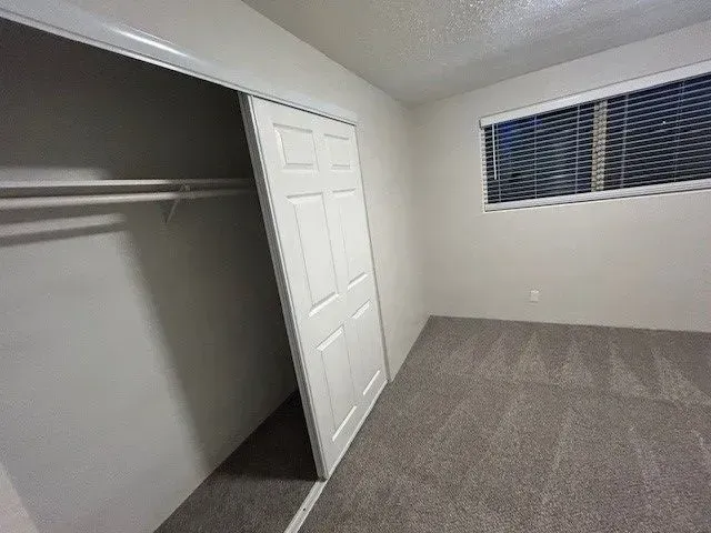 Empty carpeted bedroom with open closet, white door, and window blinds