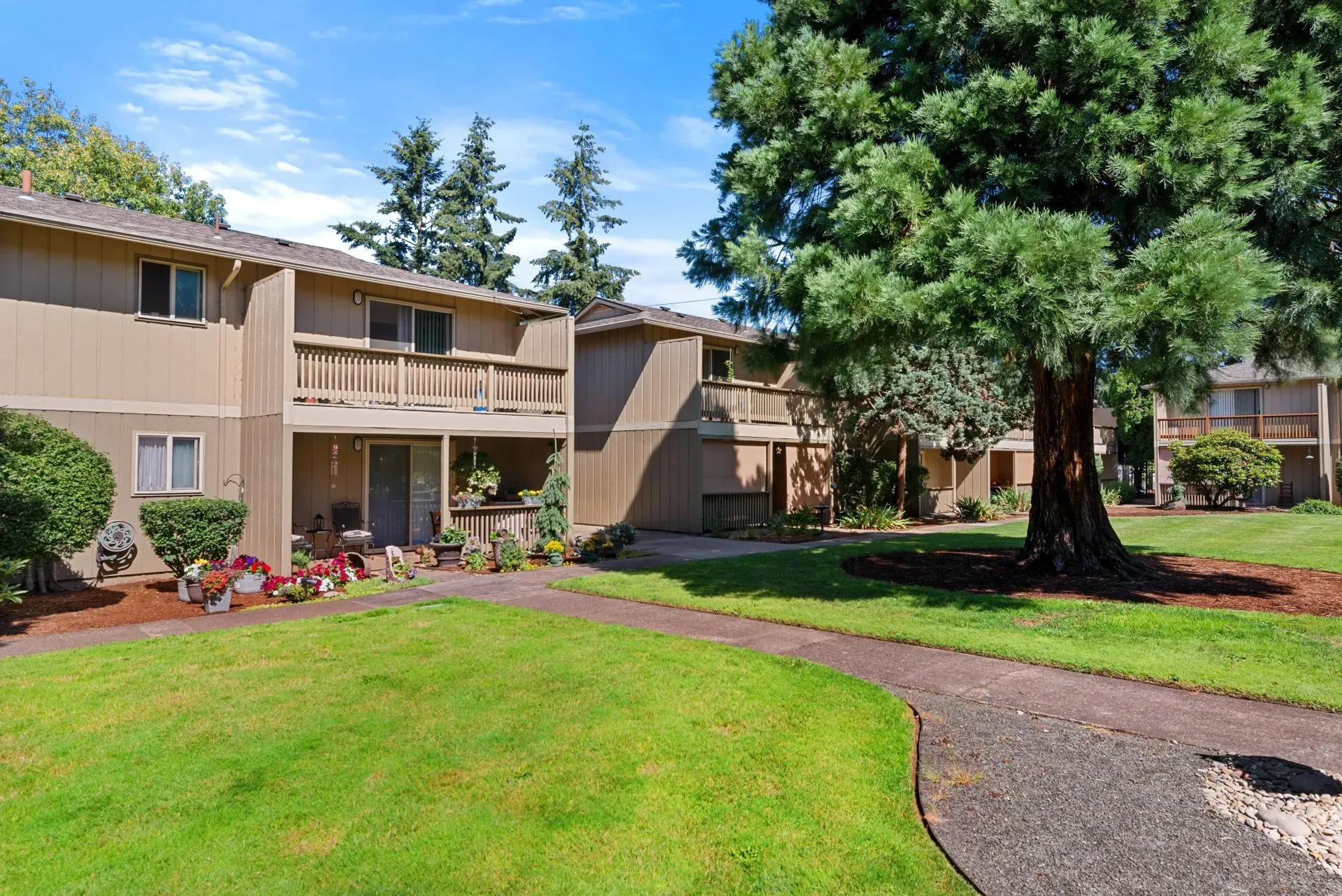 Apartment building with balconies, green lawn, and a large tree on a sunny day