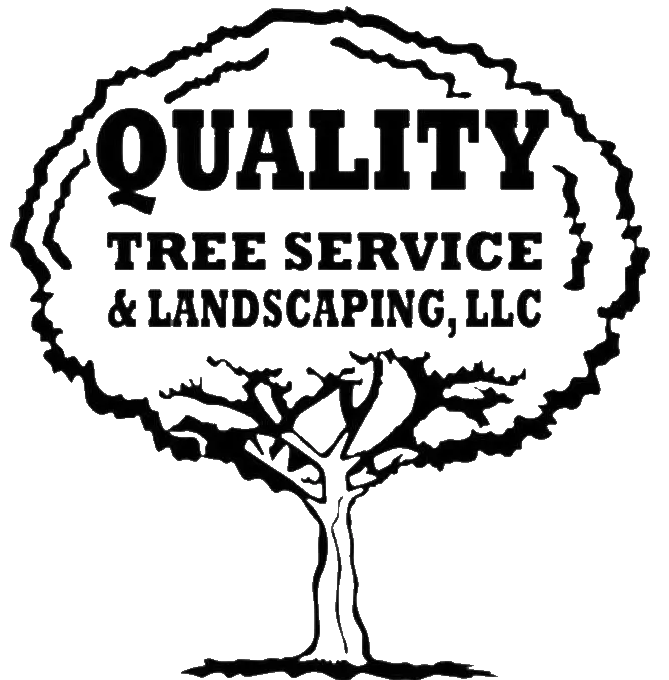Quality Tree Service & Landscaping Quality Tree Service & Landscaping