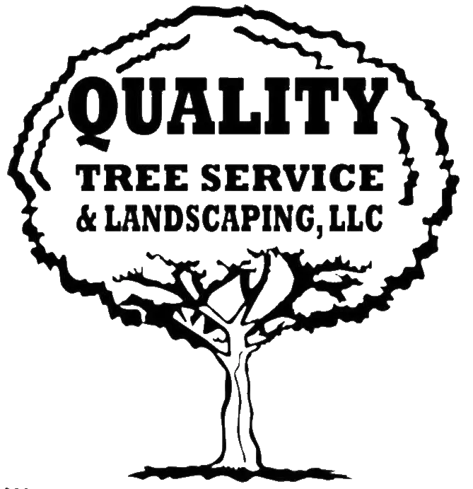 Quality Tree Service & Landscaping Quality Tree Service & Landscaping