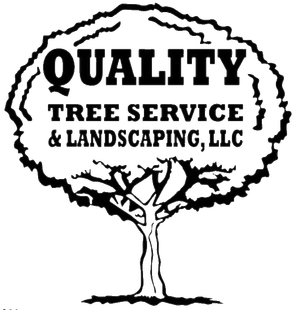 Quality Tree Service & Landscaping