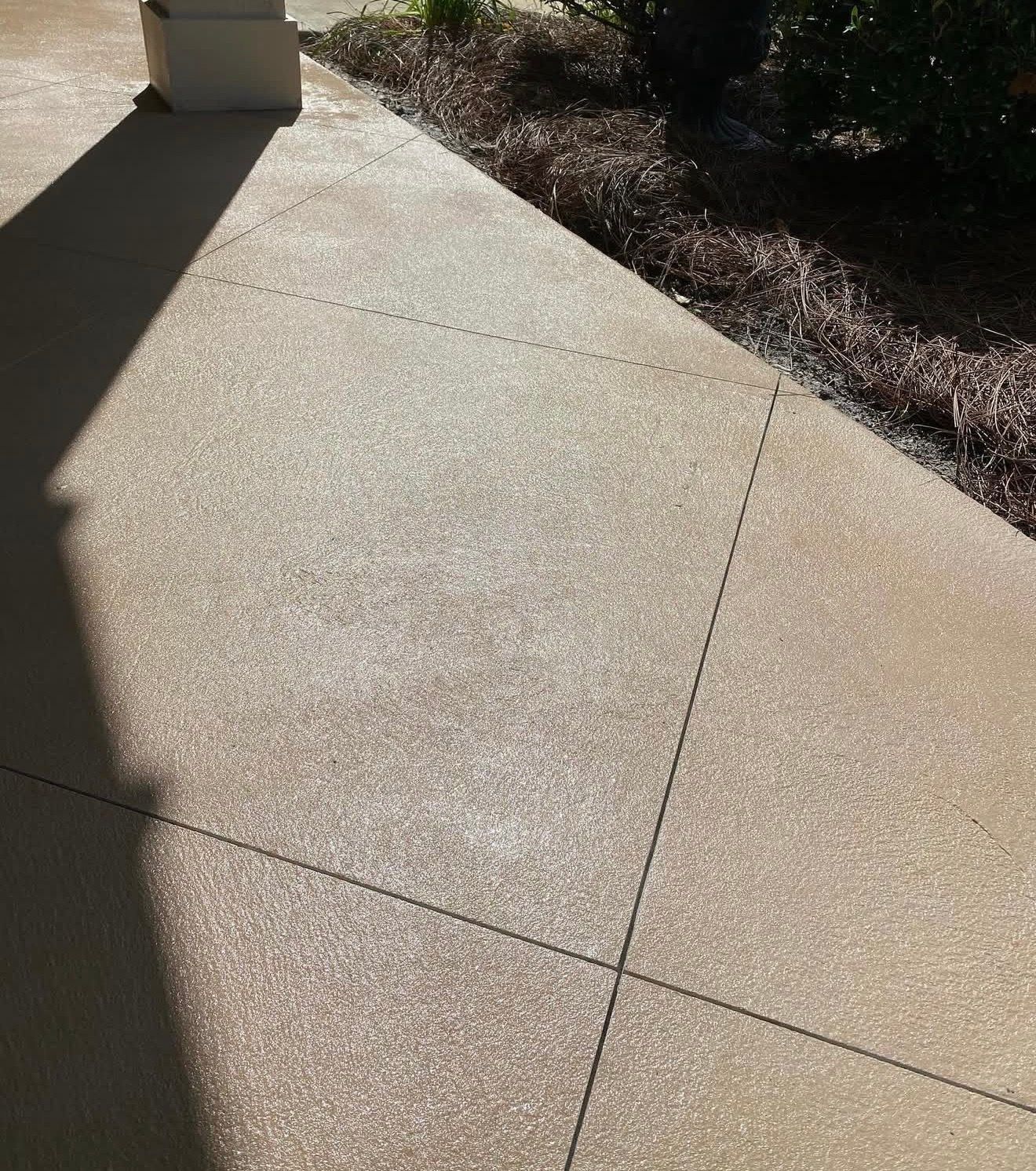 Sunny concrete walkway beside a building and landscaped bushes, with long shadows cast across it.