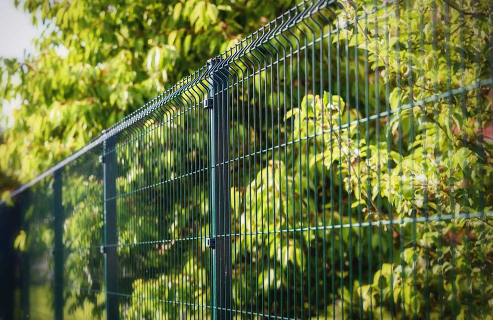Wire fence