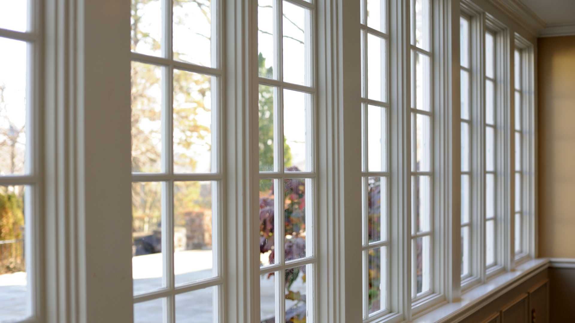 Row of white-framed windows with multiple panes, looking out to a bright outdoor scene.