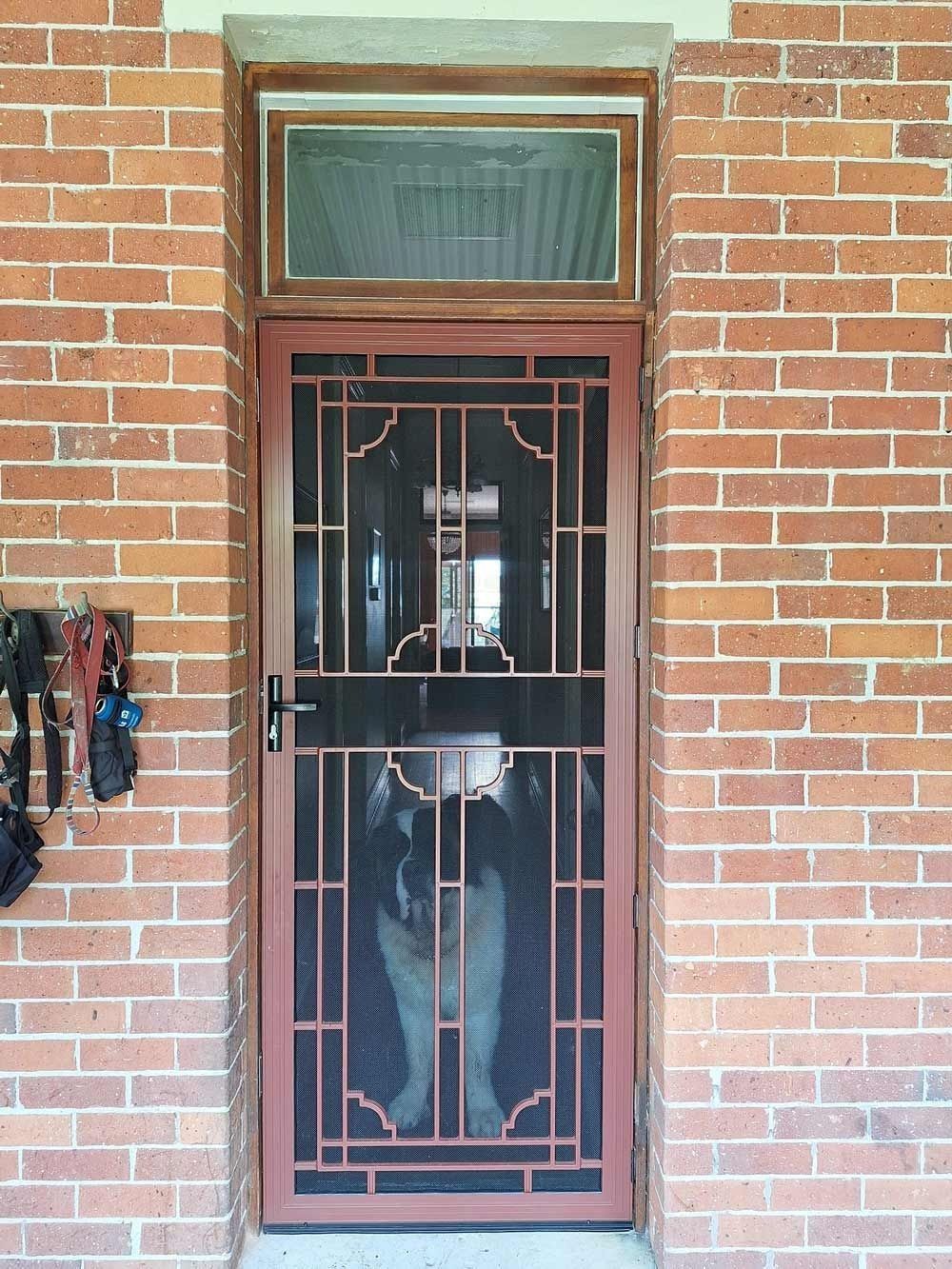 Dog behind a decorative security screen door in a brick entryway.