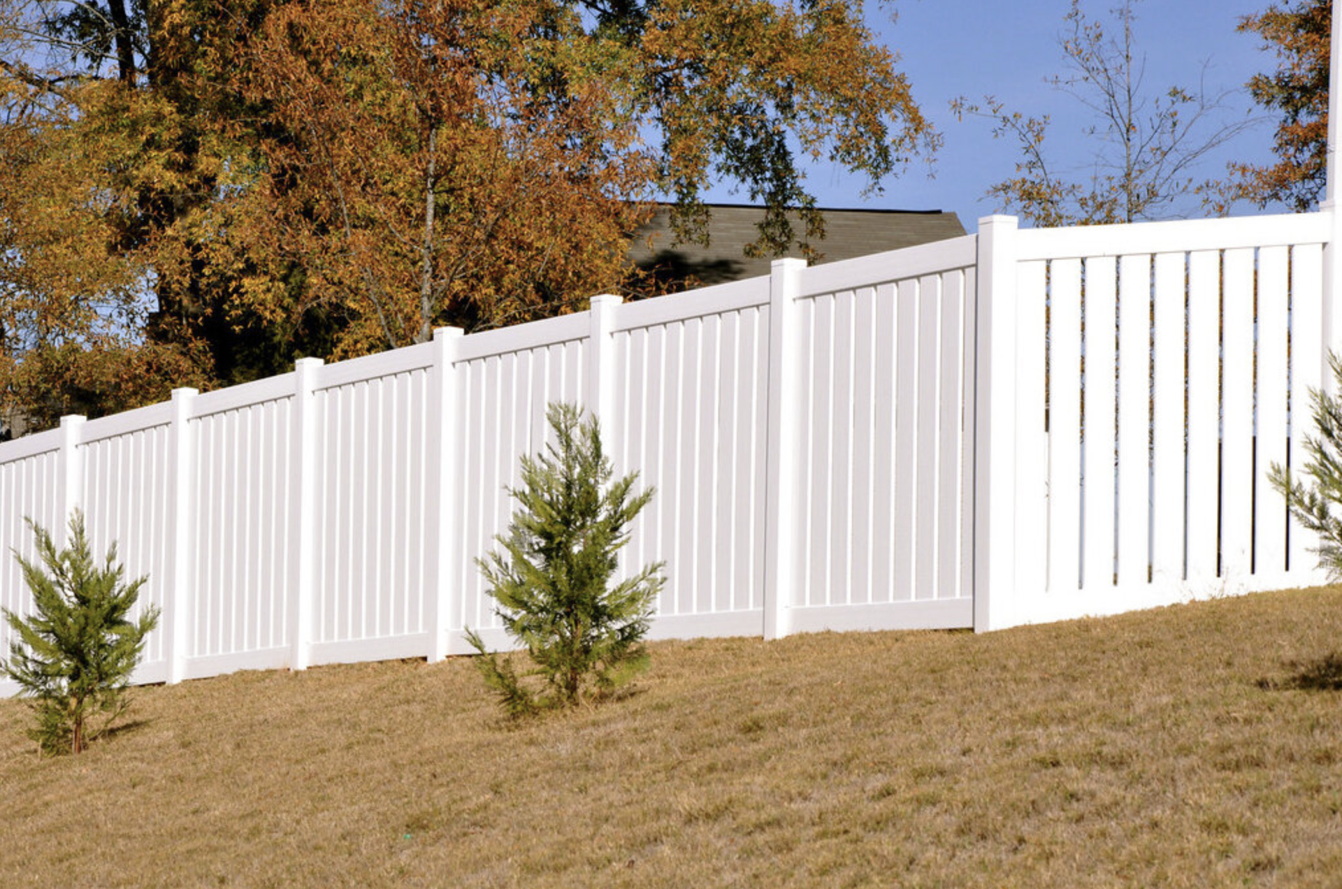 tall white picket fence