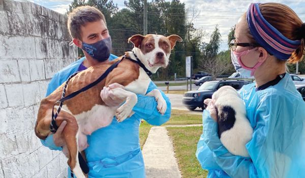 A man and a woman are holding a brown and white dog.