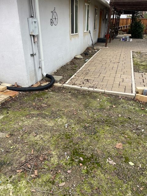 A brick walkway leading to a house with a hose in the grass.