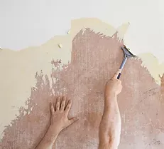 Wallpaper Removal