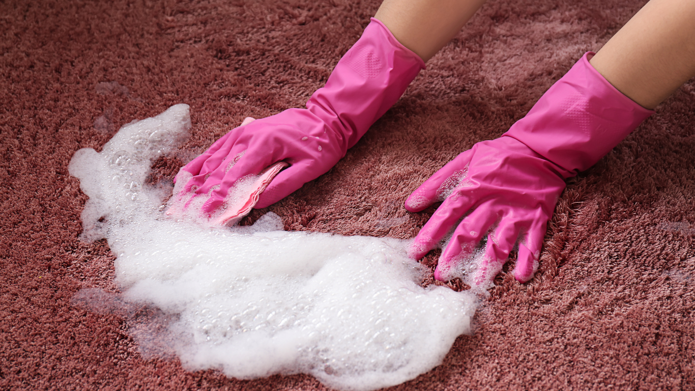 a person wearing pink gloves is cleaning a carpet with a sponge .