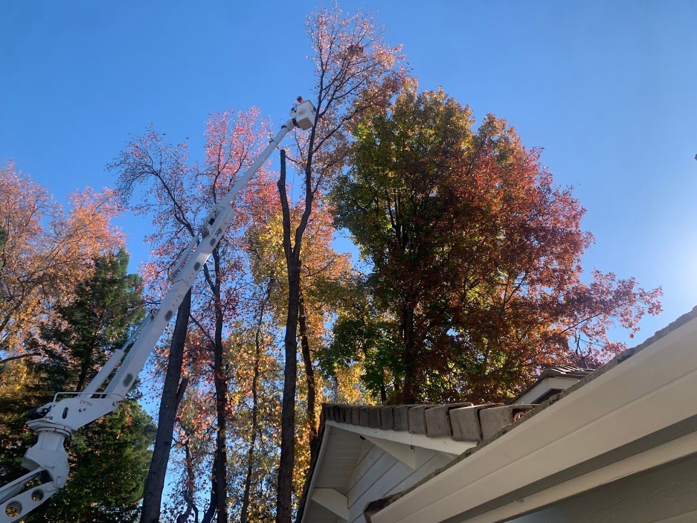 A crane is cutting a tree in front of a house.