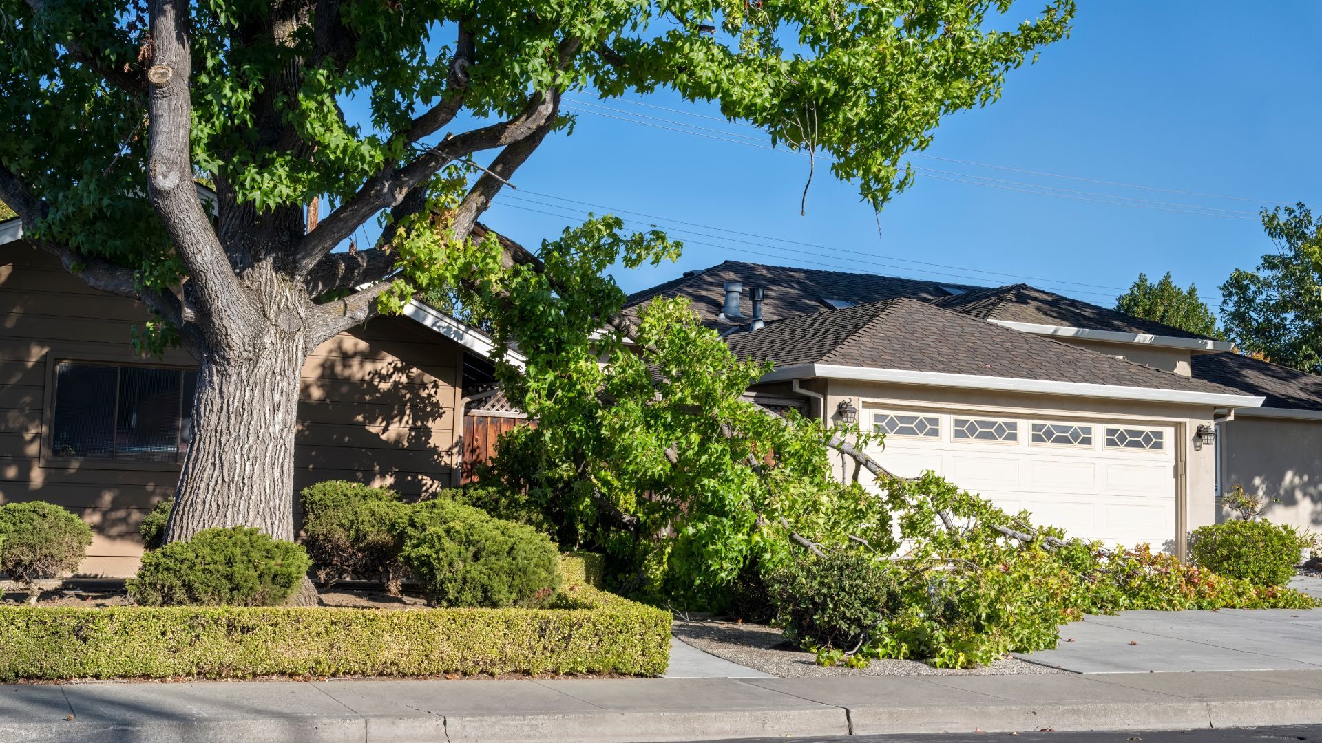 A house with a fallen tree in front of it