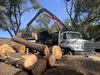 A truck is carrying a large pile of logs.