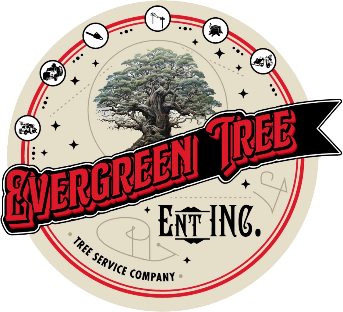 Evergreen Tree Enterprise Evergreen Tree Enterprise