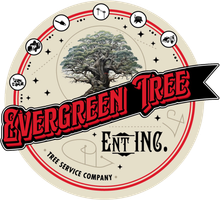 Evergreen Tree Enterprise