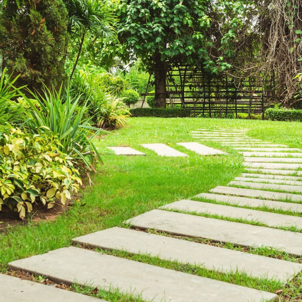 A path in a garden with a fence in the background