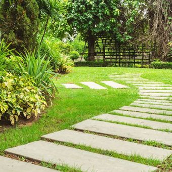 A path in a garden with a fence in the background