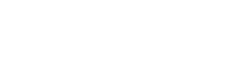 Southwood Flats White Logo