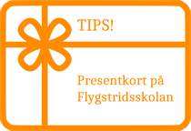 presentkort flygsimulator