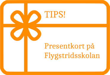 presentkort flygsimulator