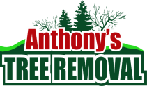Anthony's logo