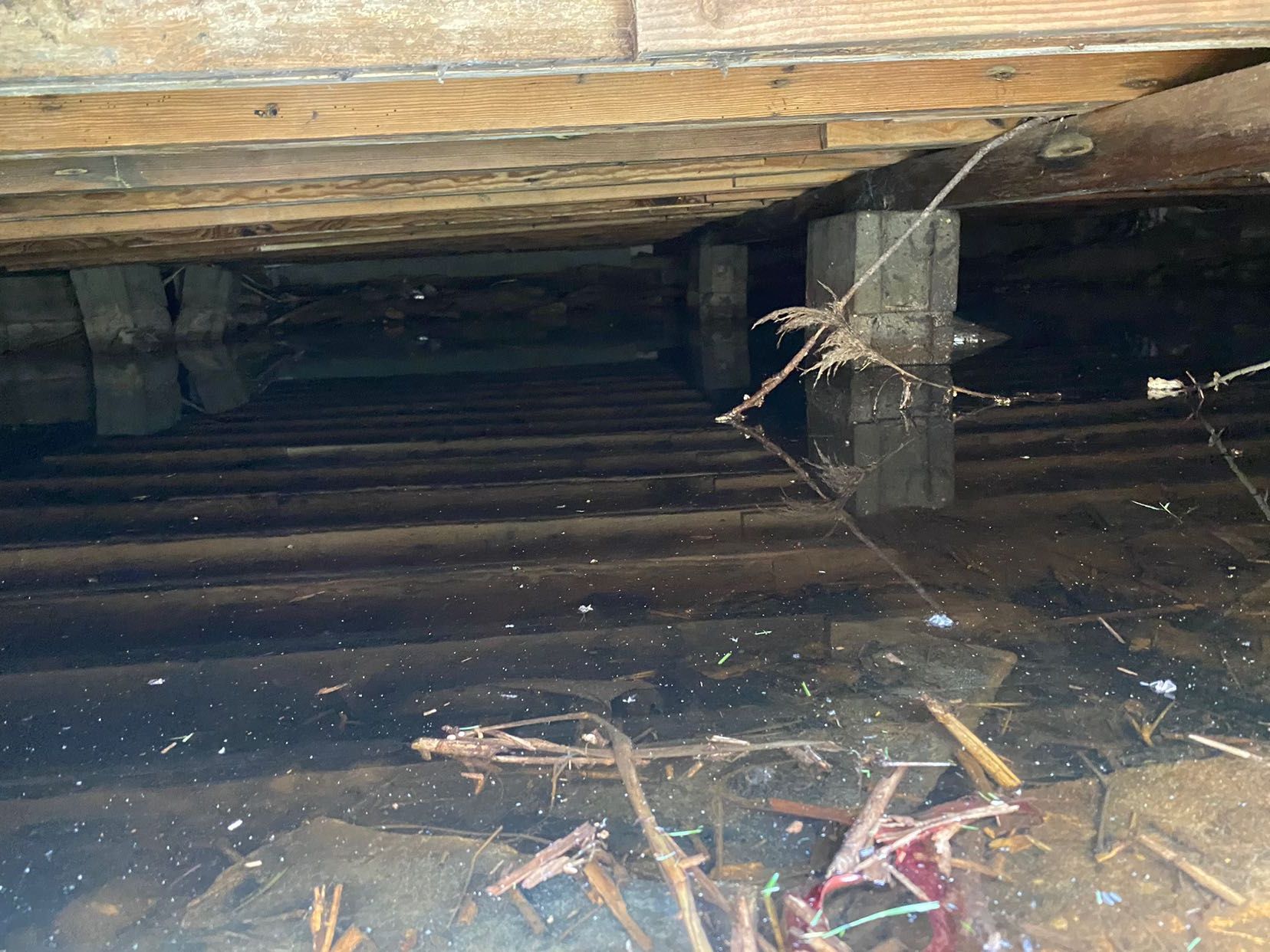 A wooden floor with a lot of water underneath it.