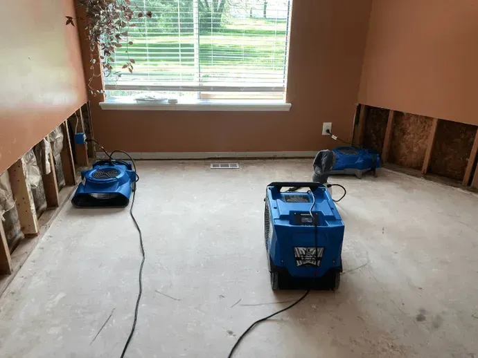 Water damage cleanup company