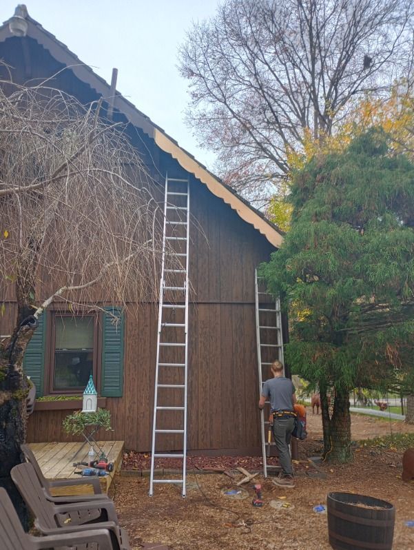 Person on a ladder working on the side of a brown house with a tree and bucket nearby