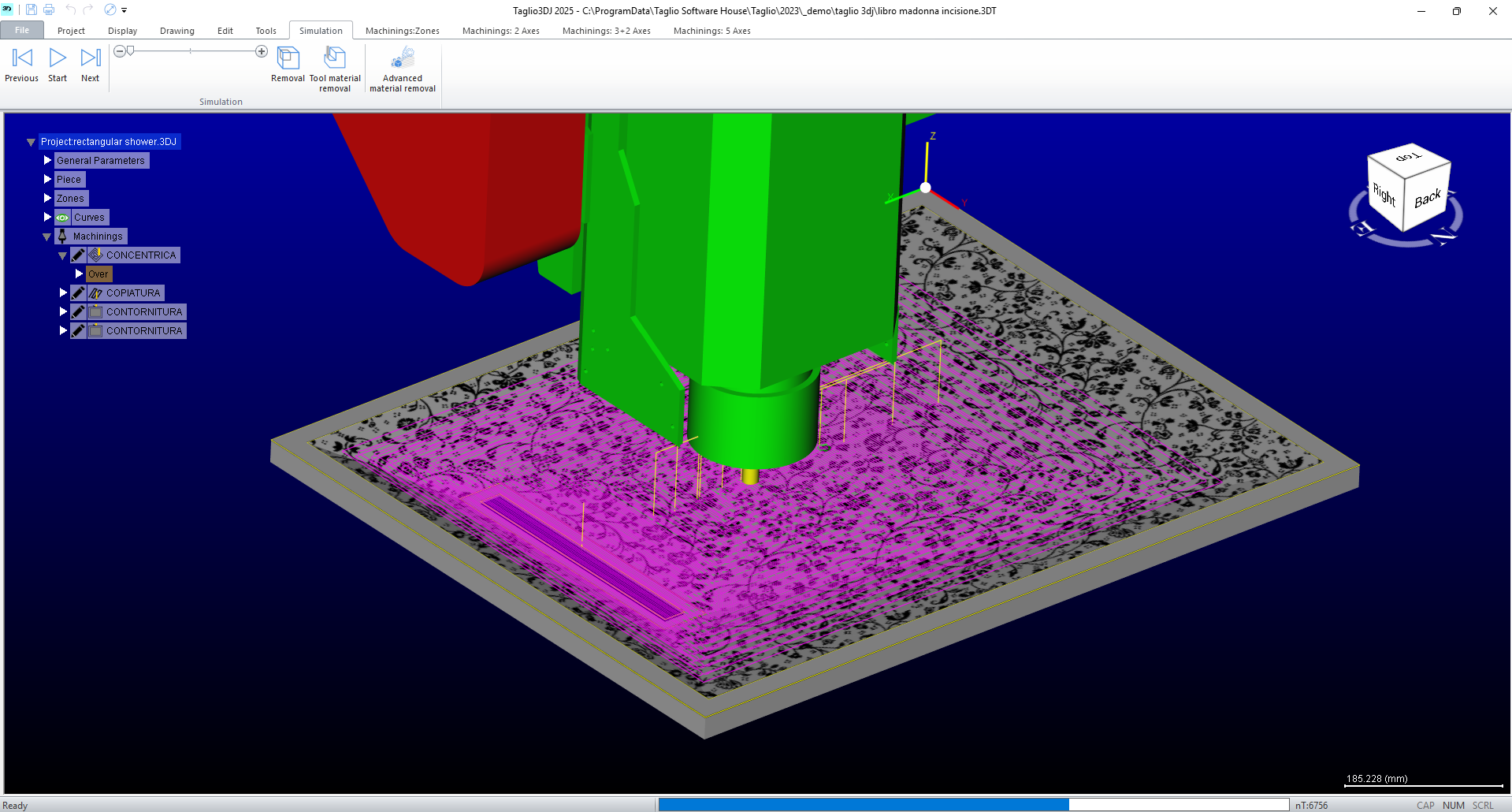 Taglio 3DJ software —Taglio 3DJ 3D CAM — stone face sculpture 5-axis toolpath milling 3D CNC machining simulation with multicolor toolpath