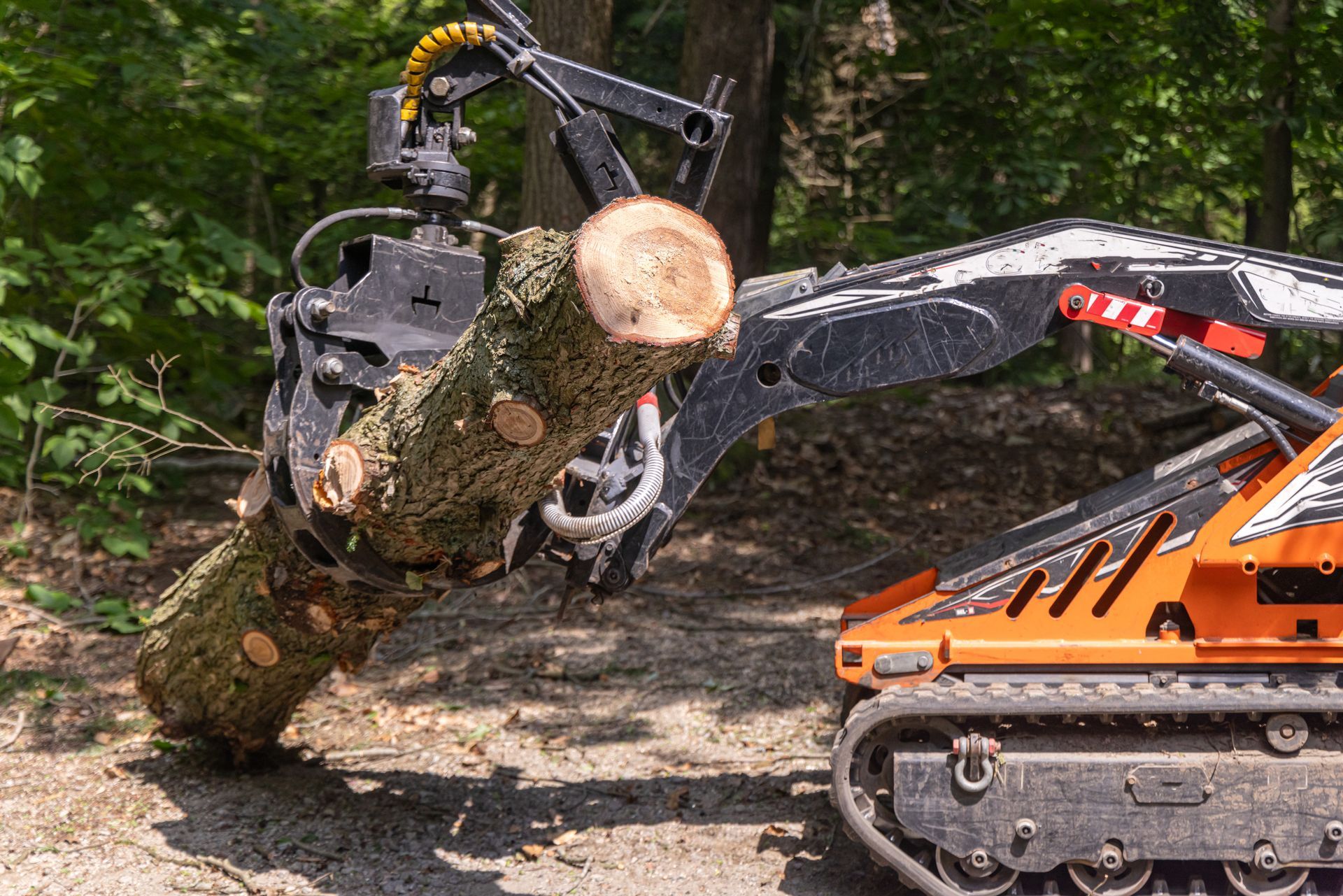 skid steer loader is moving a large tree trunk.
