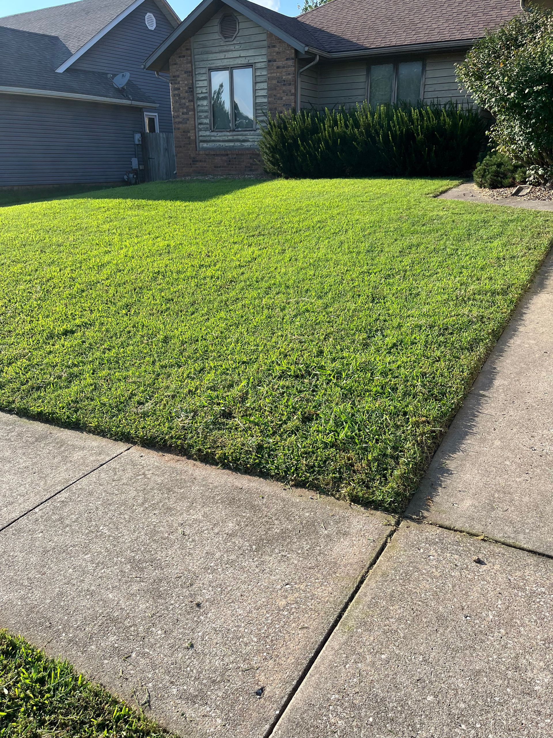 A neatly manicured green lawn in front of a brick house with a concrete driveway in the foreground.