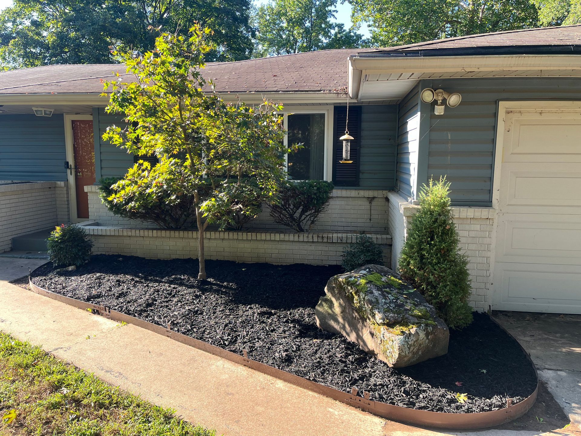 A front yard garden bed with black mulch, a small tree, a large decorative rock, and a shrub against a blue-sided house.