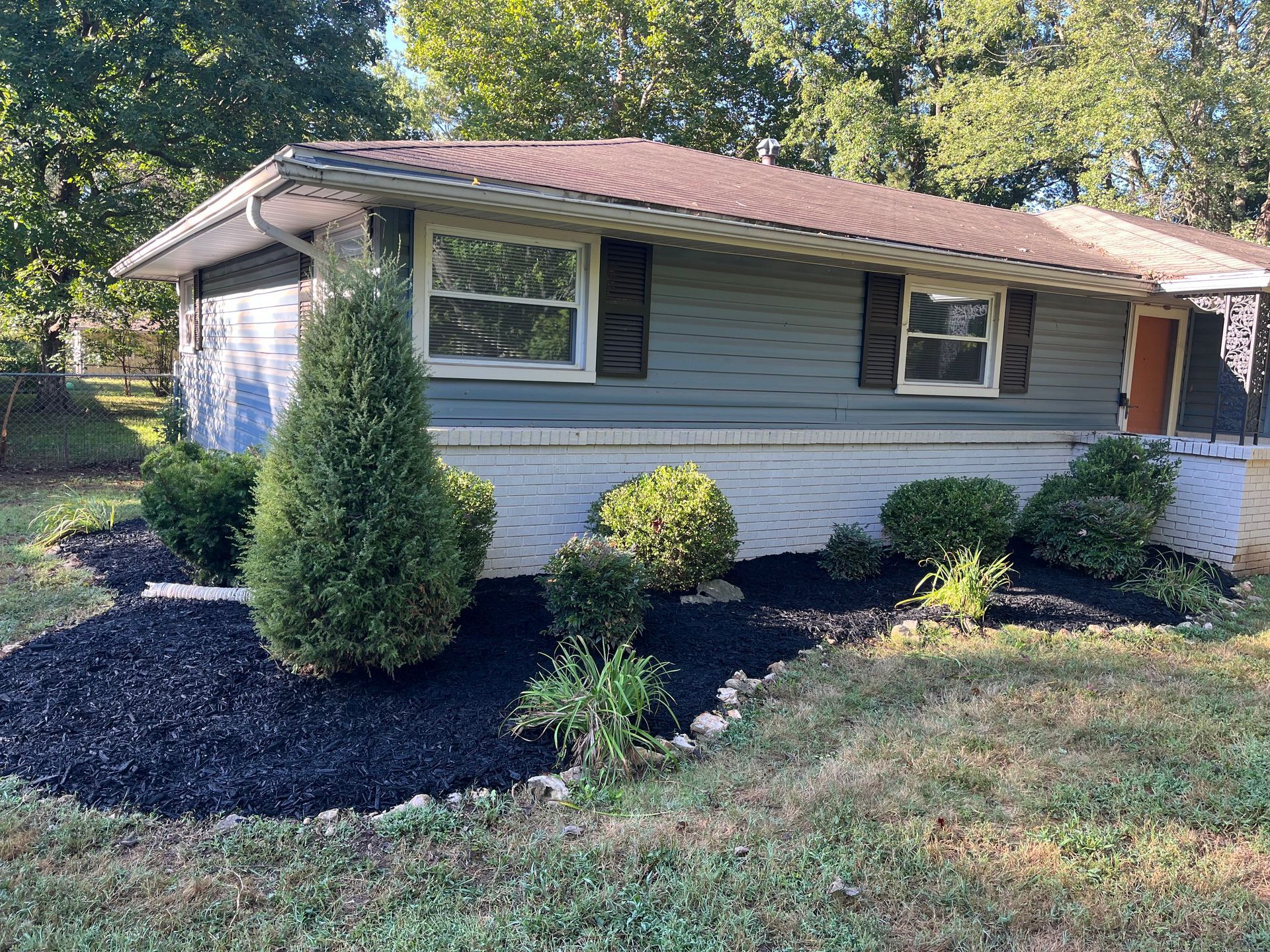 A grey, single-story house with white brick foundation and black mulch flowerbeds containing evergreen shrubs.