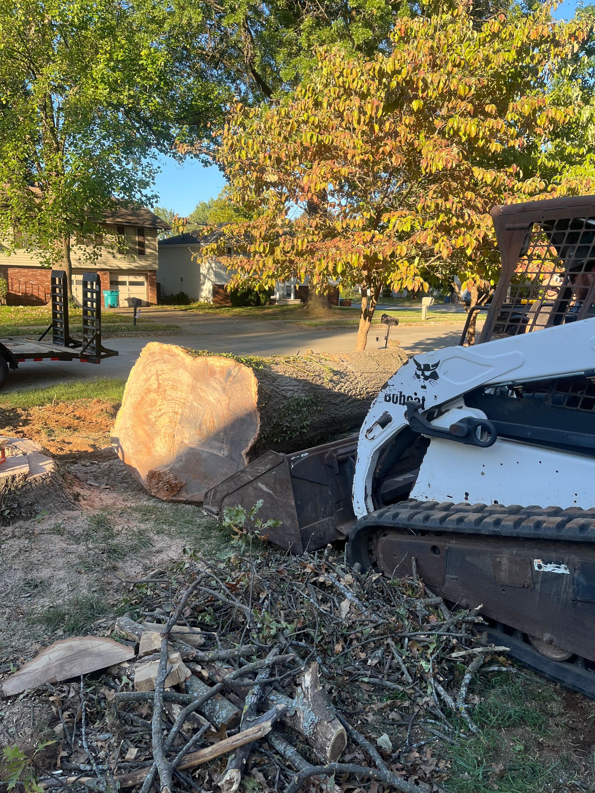 A white skid-steer loader sits in a yard next to a large, freshly cut tree log on a sunny day.